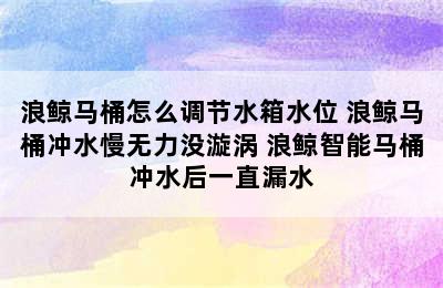 浪鲸马桶怎么调节水箱水位 浪鲸马桶冲水慢无力没漩涡 浪鲸智能马桶冲水后一直漏水